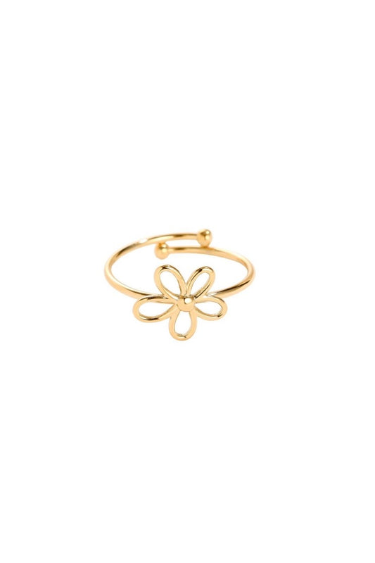 Ring „141747.80“