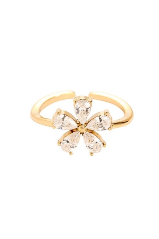 Ring „141732.80“