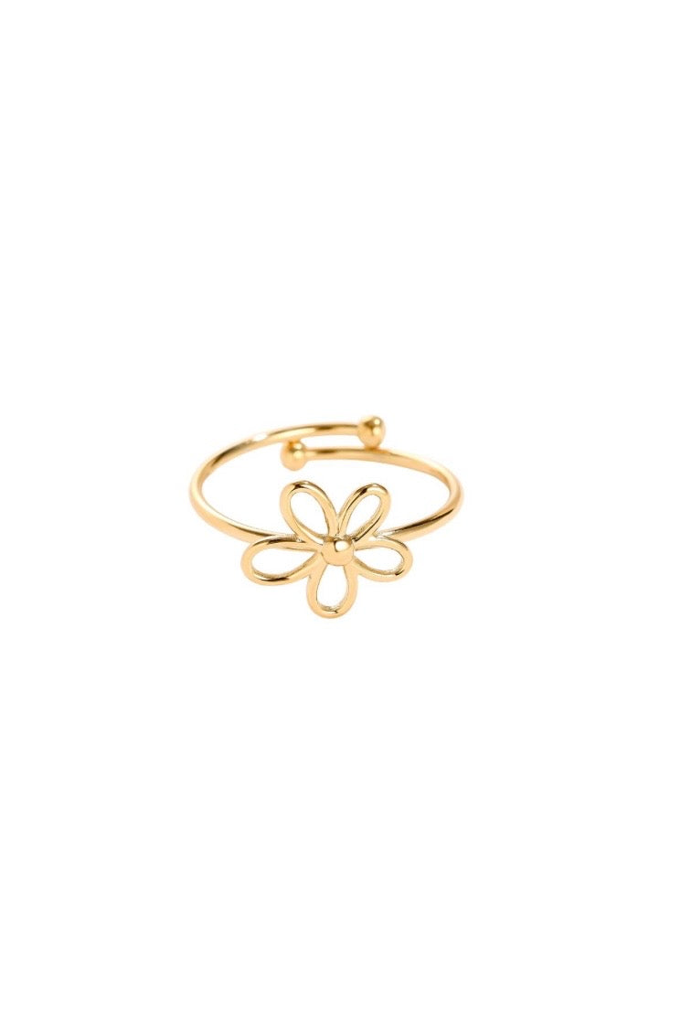 Ring „141747.80“