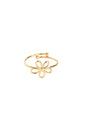 Ring „141747.80“