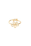 Ring „141747.80“